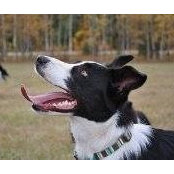 Donna Holmgren's photo