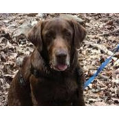 Paula Hill Gillenwater's photo