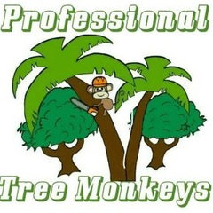 Professional Tree Monkeys LLC
