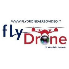 FlyDrone
