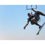 David Bauer's photo