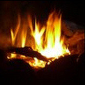 Scott Porter's photo