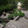 Dream Gardens Come True Inc
