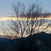 Foto de Shirley Walling
