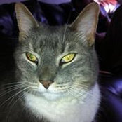 Foto von Darlene McKinnon