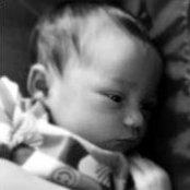 Severine Lily's photo