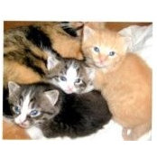 Joan Gardnerさんの写真