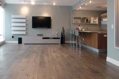 This is an example of a contemporary living room in Chicago with medium hardwood floors, brown floor and a wall-mounted tv.