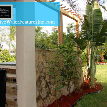 Tropical backyard and landscape