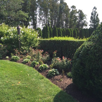 Beach Cottage Garden, Niantic