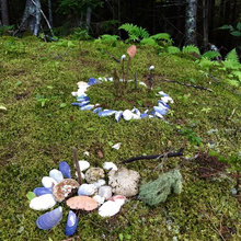 Fairy Gardens