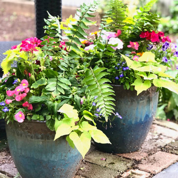 Summer Containers