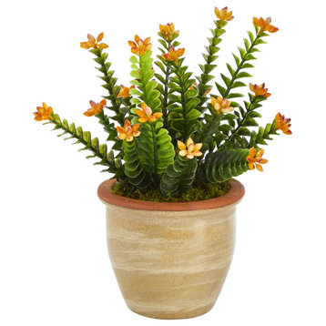 10" Flowering Sedum Succulent Artificial Plant, Ceramic Planter