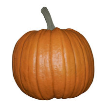 Fall Decor