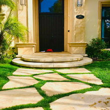 Landscape Ideas