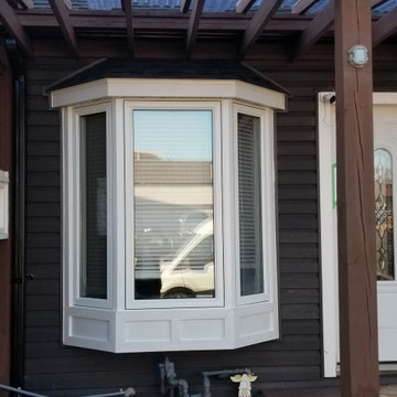 Window Replacement
