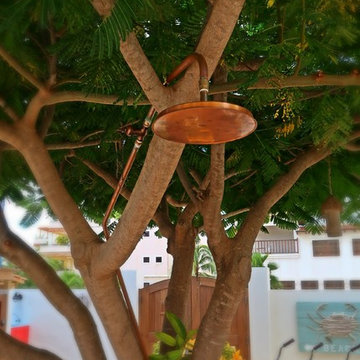 Copper Outdoor Shower in Flamboyant Tree