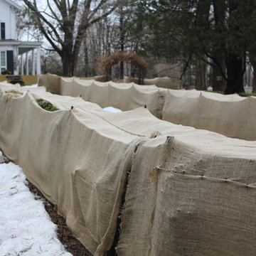 Winter Plant Protection