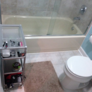 Chicago Condo Baths - Before Tub to walk in shower conversion