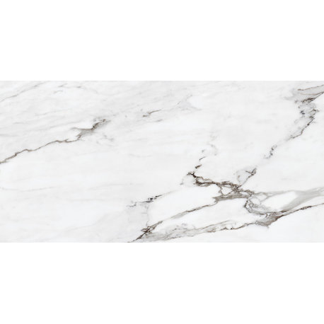 Statuario Plus Marble Look Rectified Porcelain Tile Matte, 24"x48"