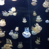 Beth Chang's photo