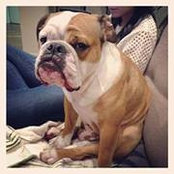 David Deng's photo