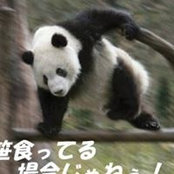 Yusuke Tomonaga's photo