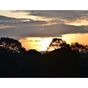Mukul Patil's photo
