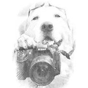 Foto di Bob Stehler