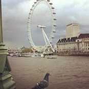 Alia Almaadheed's photo