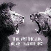 Mehul Narsey's photo