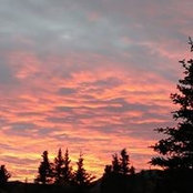 Kathleen Duerr's photo