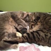 Marcie McEwan's photo