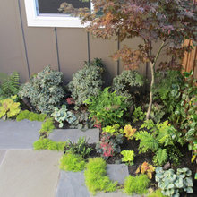 Shaded courtyard