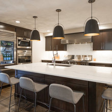 8210 Dragonfly- Kitchen