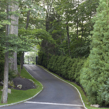 Contemporary