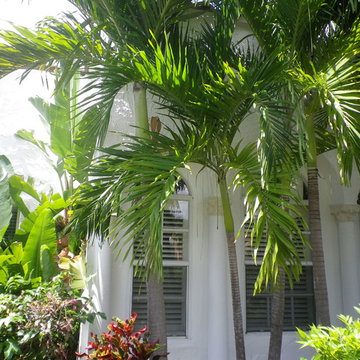 palladian windows framed by columns and flanked with palm trees