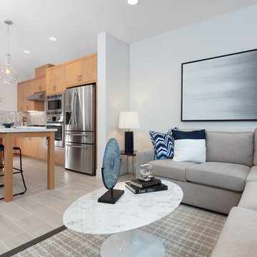 SummerHill Homes Living Rooms: Locale @ State Street Rowhome Residence 2