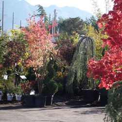 Gardening & Landscaping - Products