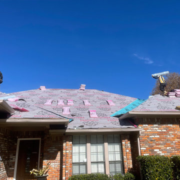 Exterior Upgrade Projects