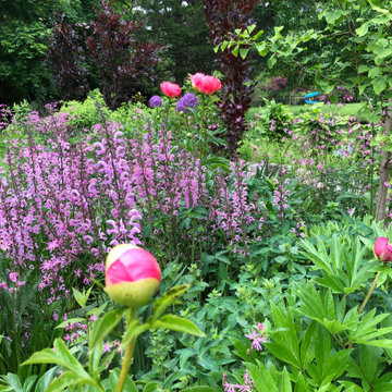 Mixed Planting Border