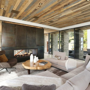 75 Beautiful Living Room With A Metal Fireplace Pictures Ideas November 2020 Houzz