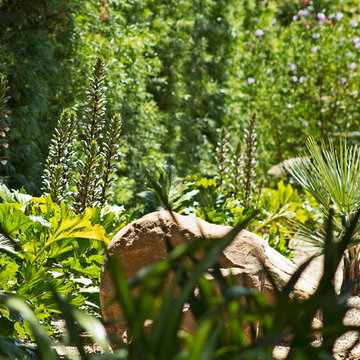 New 1-Year-Old Garden