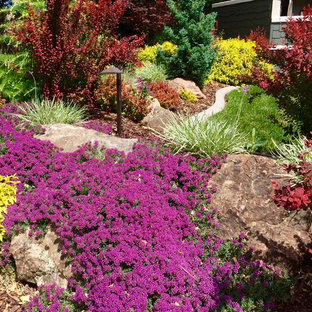 Mittelgroßer Stilmix Vorgarten mit direkter Sonneneinstrahlung in Sacramento