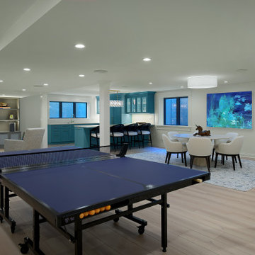 Basement Renovation