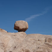 DeAnn Morgan's photo