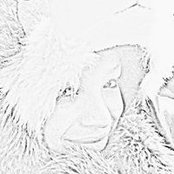 Trina She's photo