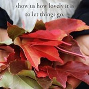 Tracy Willis's photo