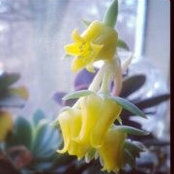 Kathleen Kankel's photo