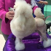 Sarah Barlow's photo